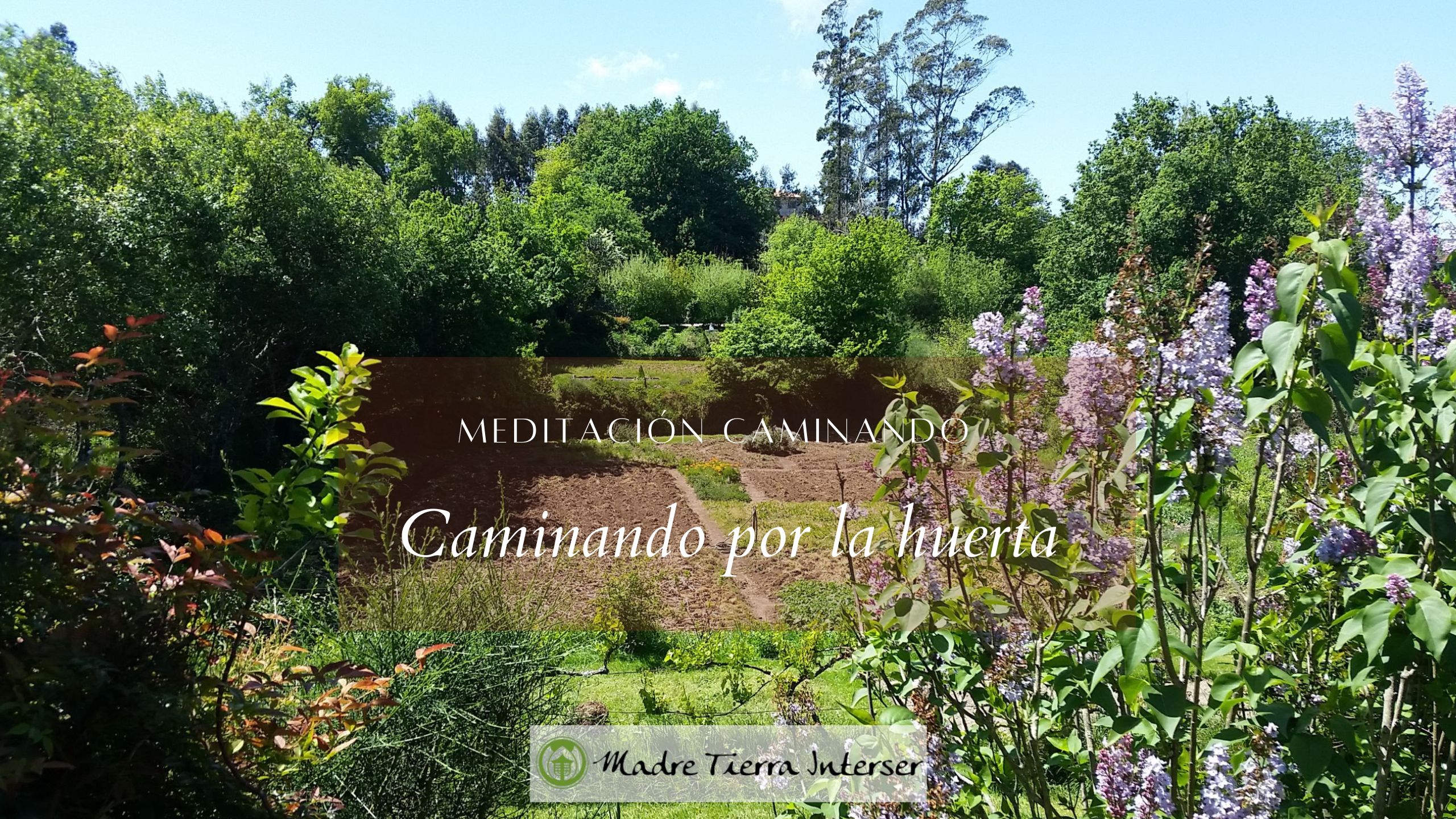 Caminando por la huerta