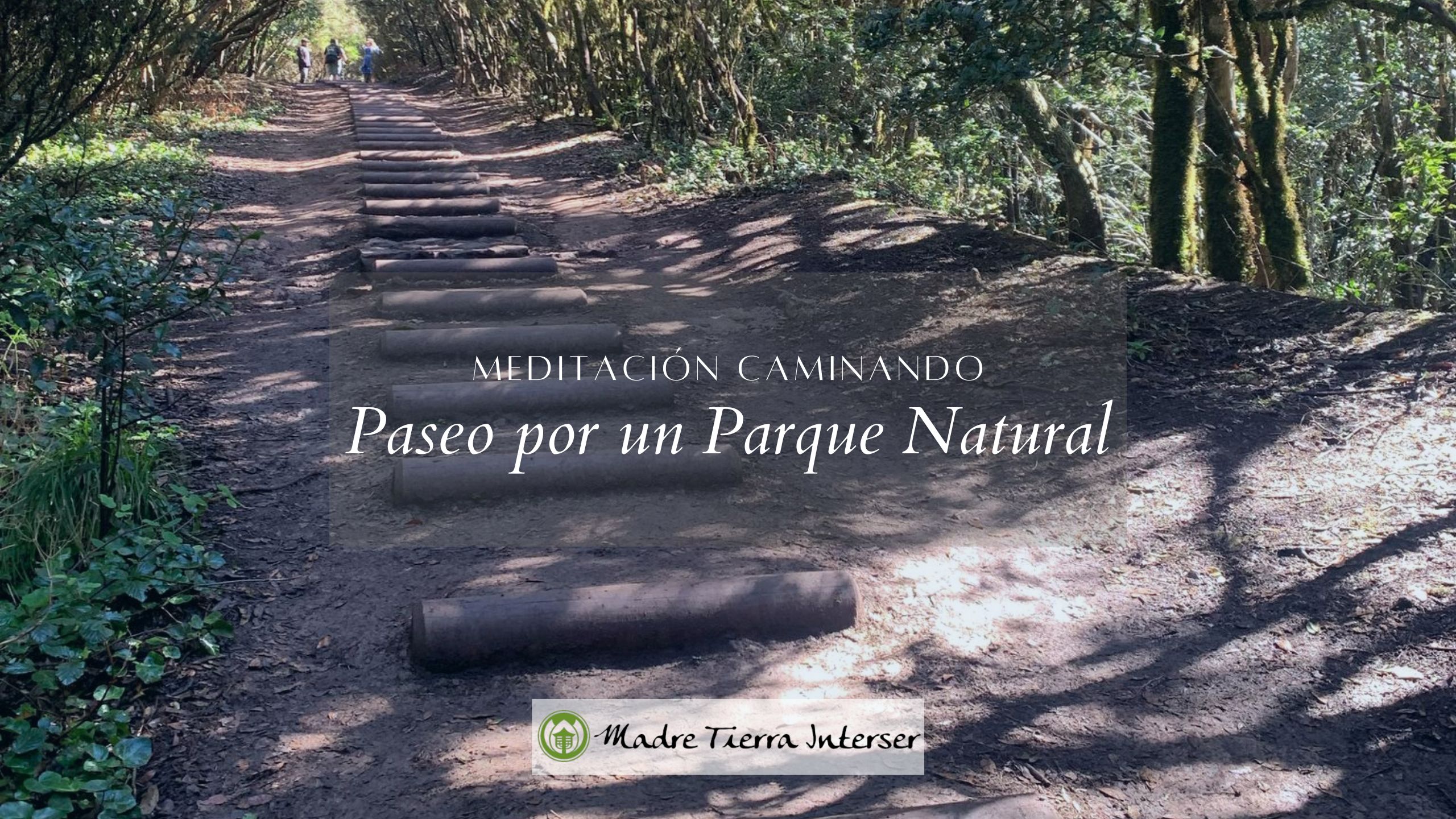 Paseo por un Parque Natural